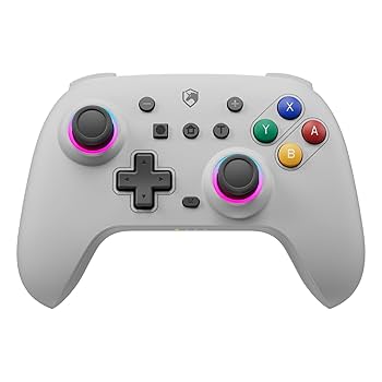 Amazon.com: ECHTPower Wireless Switch Controller Purple